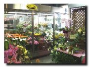 「花のセイカエン」　（愛知県春日井市）の花屋店舗写真2