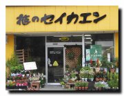 「花のセイカエン」　（愛知県春日井市）の花屋店舗写真1